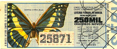 Extração 0629 - Morpho Cypris (Brasil)