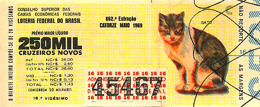 Extração 0662 - Gato