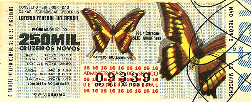 Extração 0669 - Papilio Brasiliensis