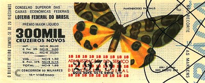Extração 0686 - Pantheroides Pardalis
