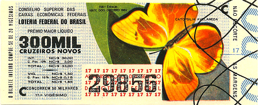 Extração 0708 - Catopsilia Avelaneda